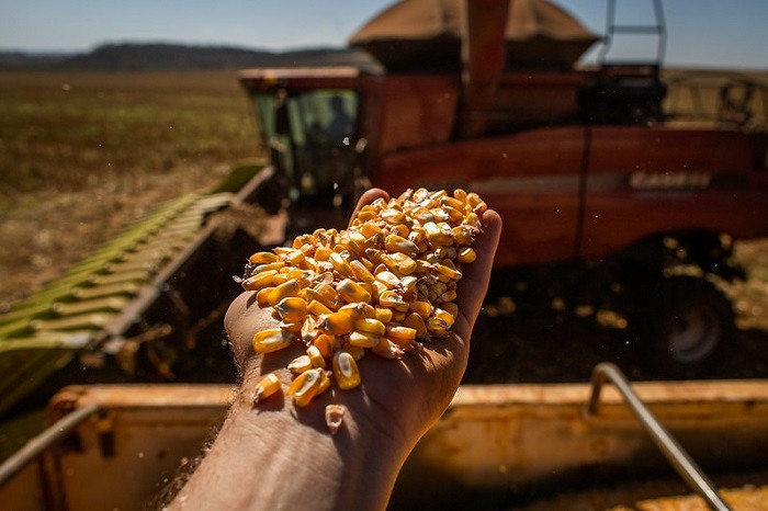 Conab realiza rodada de debates sobre as perspectivas para a agropecuária safra 2021/22 - News Rondônia
