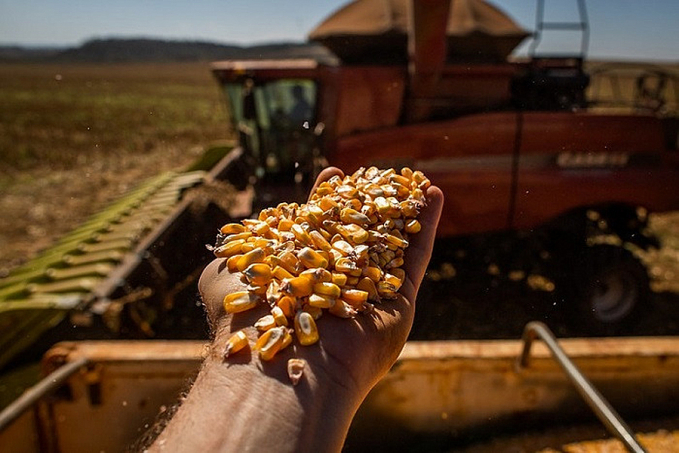 Conab realiza rodada de debates sobre as perspectivas para a agropecuária safra 2021/22 - News Rondônia