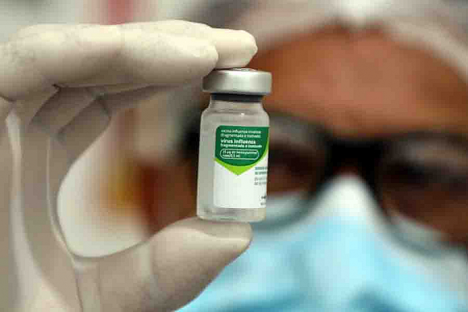 Nova vacina contra gripe deve chegar entre fevereiro e março de 2022; veja como funciona a produção - News Rondônia