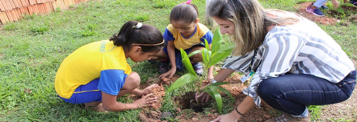 PORTO DE PORTO VELHO INTENSIFICA AÇÕES SUSTENTÁVEIS NA SEMANA DO MEIO AMBIENTE - News Rondônia
