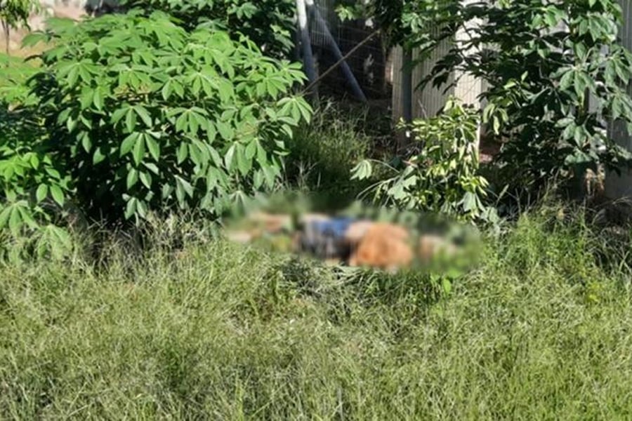 Adolescente de 15 anos é encontrada morta com membros quebrados ao lado de torre - News Rondônia