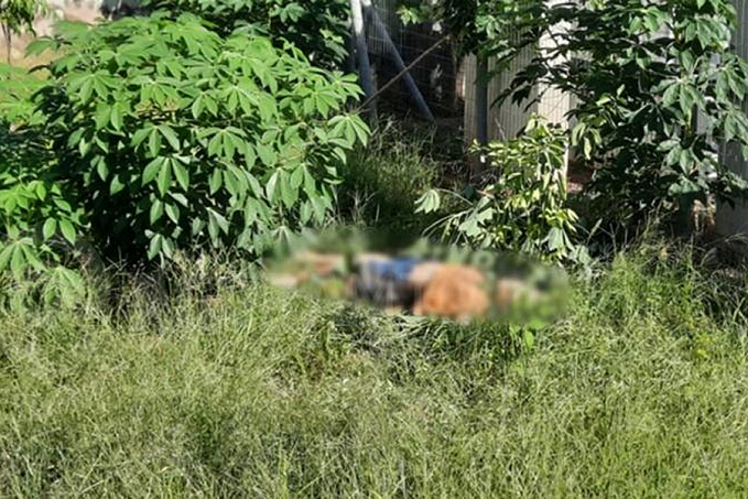 Adolescente de 15 anos é encontrada morta com membros quebrados ao lado de torre - News Rondônia