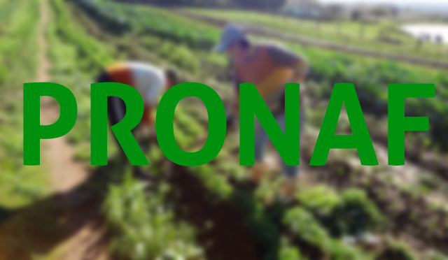 SEAGRI E EMATER REAFIRMAM VALIDADE DO PRAZO DE VALIDADE DA DAP E DO CAR PARA AGRICULTORES - News Rondônia