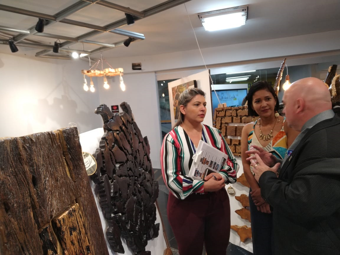 SEBRAE APOIA ARTISTAS EM EXPOSIÇÃO NO SENADO FEDERAL - News Rondônia