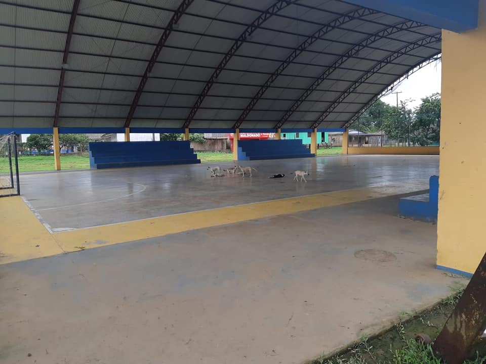 Vereador Valtinho Canuto visita Distrito de São Carlos para verificar as necessidades da população - News Rondônia