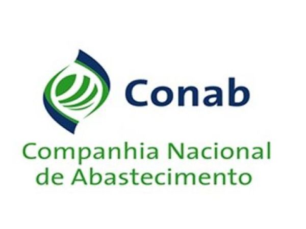 CONAB FARÁ NOVA VENDA DIRETA DE MILHO EM LEILÃO PARA APOIO A CRIADORES - News Rondônia