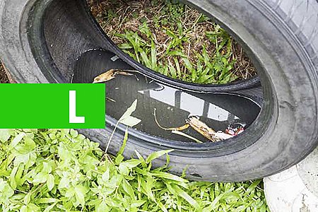 JARU: PERÍODO DE CHUVAS AUMENTA RISCO DA DENGUE; CUIDADO DEVE SER REDOBRADO - News Rondônia