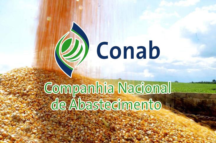 CONAB REALIZA VENDA DE MAIS 10 MIL T DE MILHO EM LEILÃO PARA CRIADORES NO PRÓXIMO DIA 12 - News Rondônia