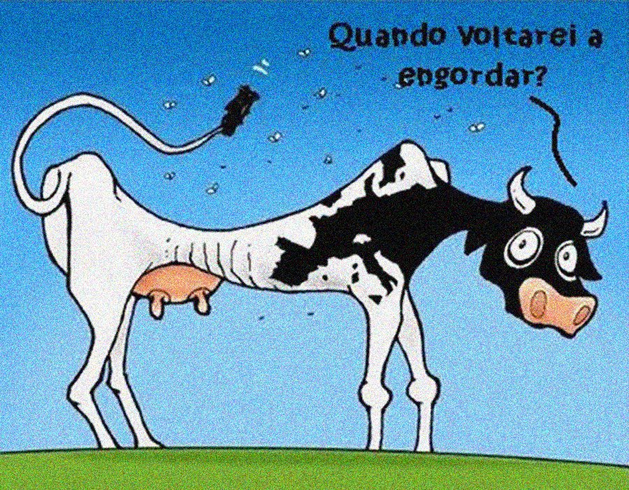 POLÍTICA & MURUPI: ALGO NOVO NO FRONT - News Rondônia