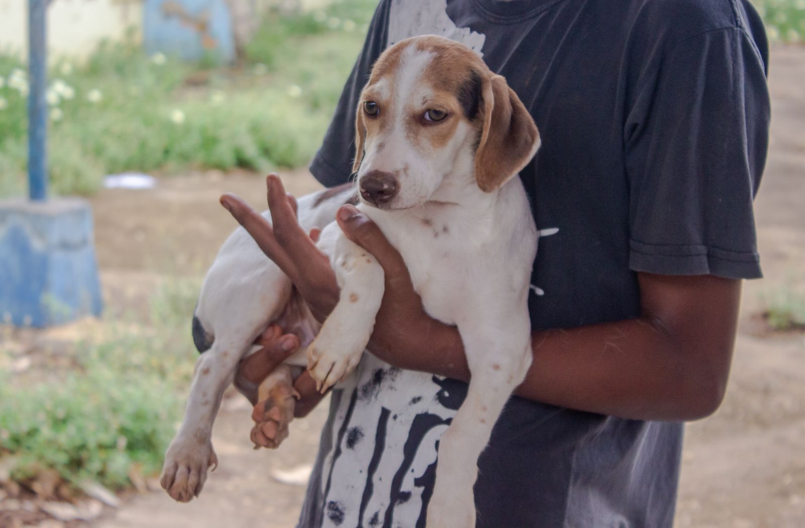 Em ano de pandemia, município priorizou ações de saúde em toda Porto Velho - News Rondônia