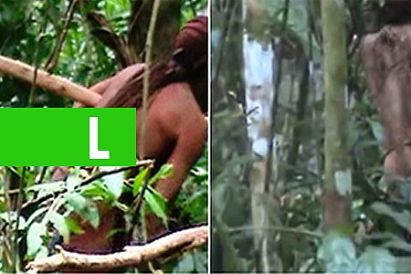 IMAGENS INÉDITAS DE ÍNDIO ISOLADO SÃO DIVULGADAS PELA FUNAI; VÍDEO - News Rondônia