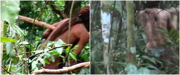IMAGENS INÉDITAS DE ÍNDIO ISOLADO SÃO DIVULGADAS PELA FUNAI; VÍDEO - News Rondônia
