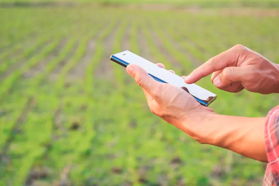 Produtores acreditam que pandemia teve baixo impacto nos negócios e no avanço digital, aponta pesquisa - News Rondônia