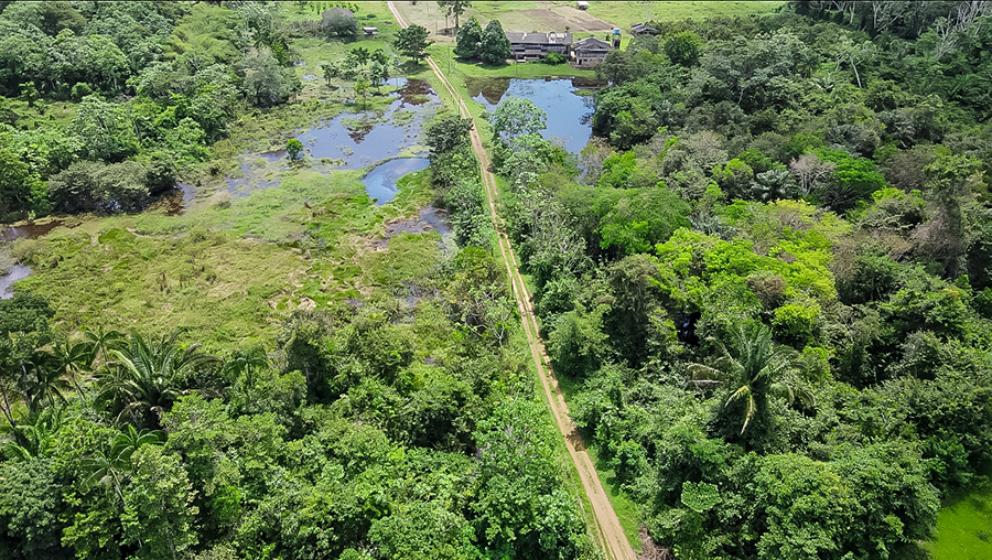 Campanha Salve Vidas inicia com meta de reduzir queimadas em Porto Velho - News Rondônia