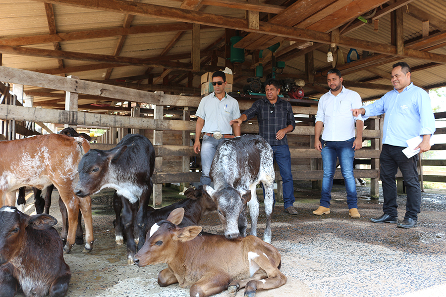 UNINDO FORÇAS PARA O CAMPO - News Rondônia