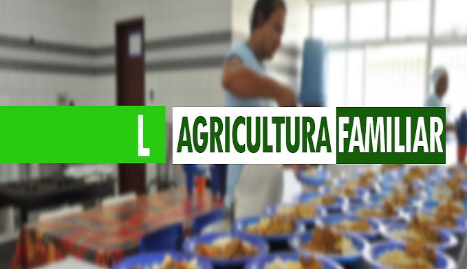 ESCOLAS PÚBLICAS DEVEM COMPRAR ALIMENTOS SAUDÁVEIS DA AGRICULTURA FAMILIAR PARA MERENDA ESCOLAR - News Rondônia