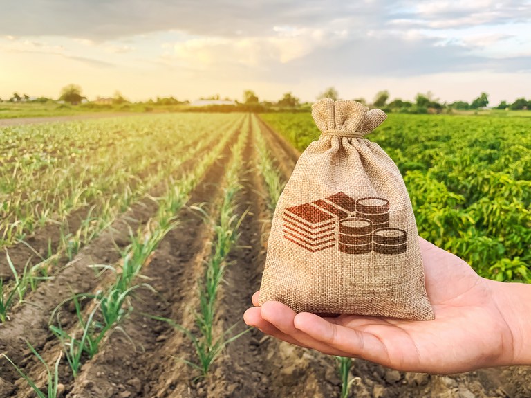 Crédito Rural apresenta crescimento de 18% em relação à safra anterior - News Rondônia