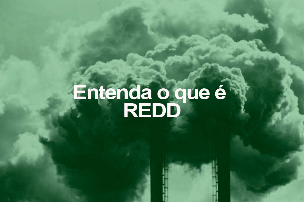 GOVERNO DE RONDÔNIA DEBATERÁ REDUÇÃO DE EMISSÕES DE GASES EM SEMINÁRIO QUE VALORIZA ATIVOS AMBIENTAIS - News Rondônia