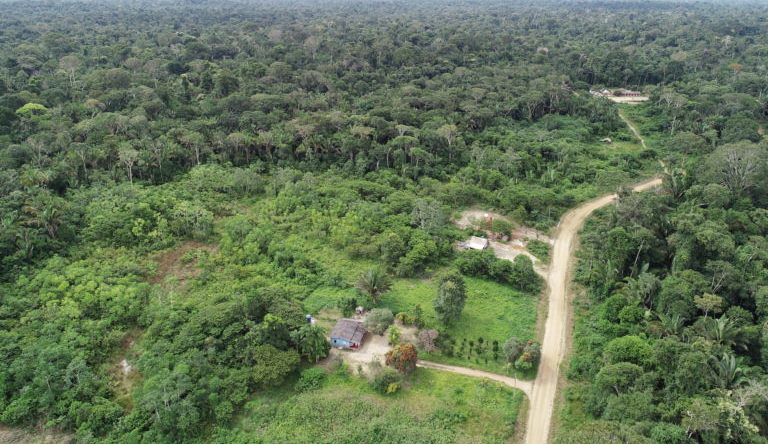 GOVERNO DE RONDÔNIA DEBATERÁ REDUÇÃO DE EMISSÕES DE GASES EM SEMINÁRIO QUE VALORIZA ATIVOS AMBIENTAIS - News Rondônia
