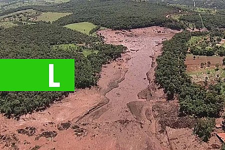 ABSURDO: HOMEM SE PASSA POR FAMILIAR DE VÍTIMA DE BRUMADINHO PARA TENTAR INDENIZAÇÃO E É DETIDO PELA POLÍCIA - News Rondônia