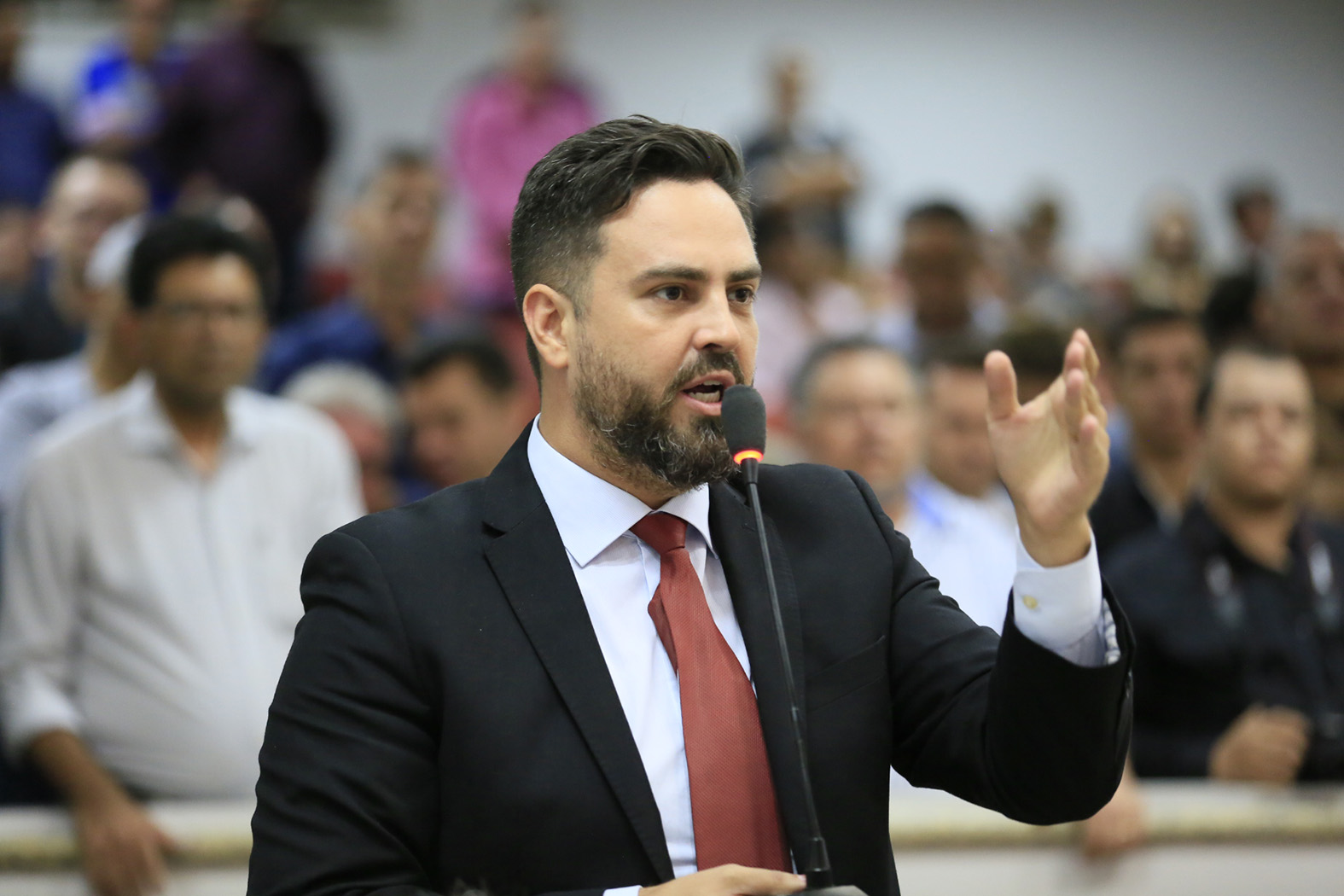 LÉO MORAES ELABORA PLO PENALIZANDO AGRESSORES DE ANIMAIS DOMÉSTICOS - News Rondônia