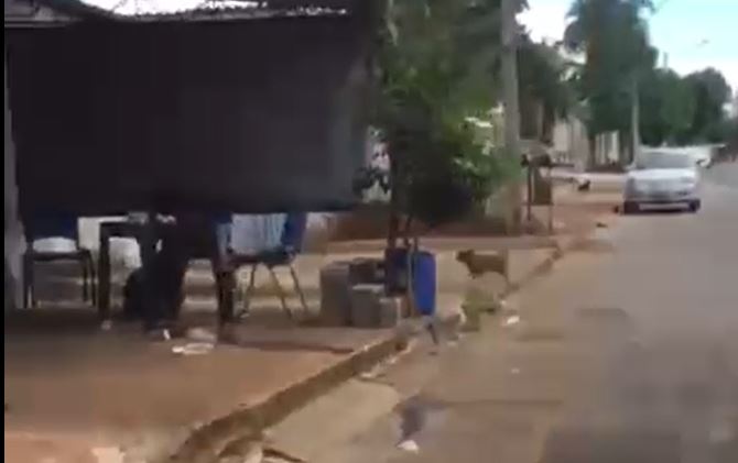 ENDIABRADO: Na véspera do Dia dos Namorados, homem endemoniado esfaqueia companheira até a morte em bar; Vídeo - News Rondônia