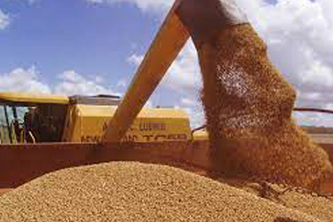 Conab aponta para produção estimada de grãos em 260,8 milhões de toneladas na safra 2020/2021 - News Rondônia