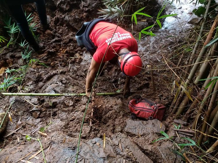 VALE PAGA MULTAS AO GOVERNO MINEIRO, MAS QUESTIONA COBRANÇAS DO IBAMA - News Rondônia
