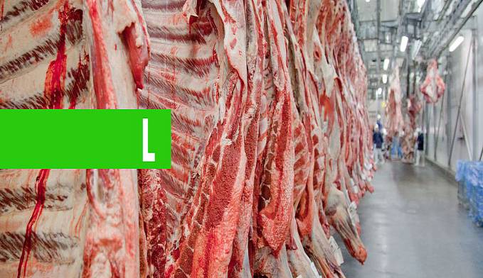 EXPORTAÇÕES DE CARNE PODEM FECHAR 2019 COM RESULTADO RECORDE - News Rondônia