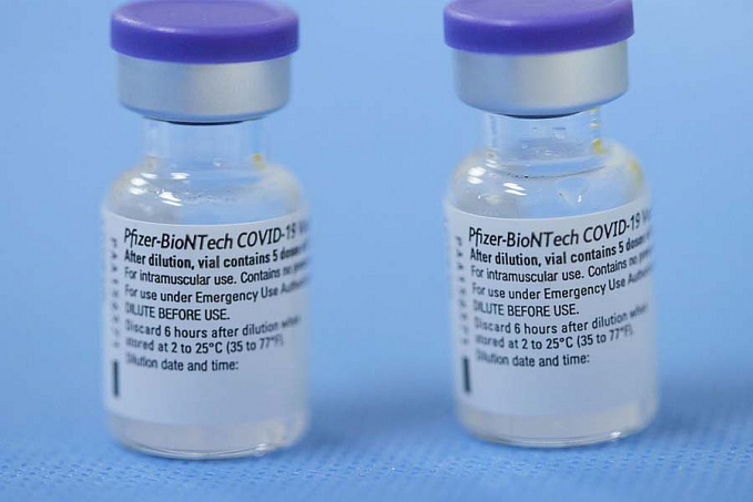 Pfizer fecha acordo para produção de vacinas da covid-19 no Brasil - News Rondônia