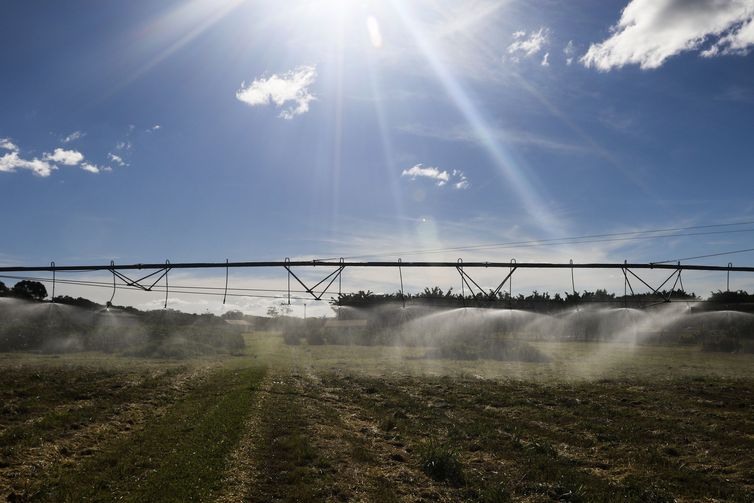 NOVAS TECNOLOGIAS DIGITAIS AUXILIAM PRODUÇÃO NO CAMPO - News Rondônia