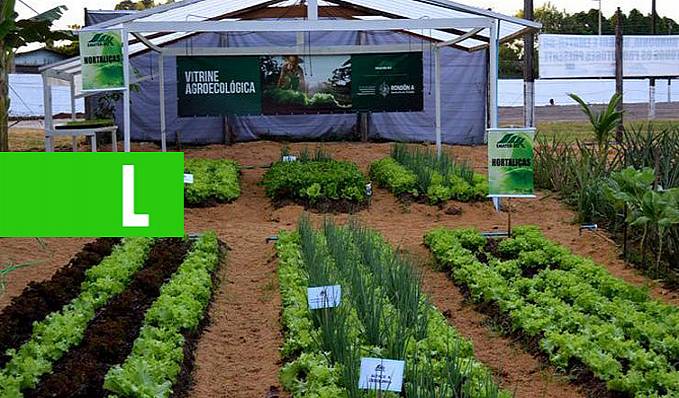 SUSTENTABILIDADE - Evento online vai debater a produção e comercialização de produtos na 3ª Semana de Agroecologia em Rondônia - News Rondônia