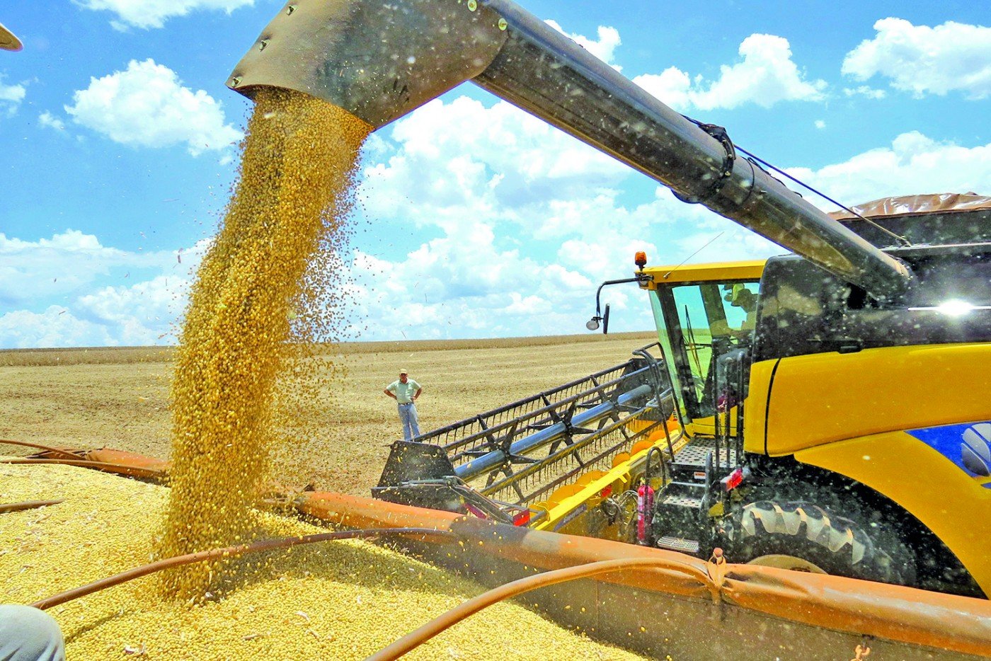 Conab acompanha o impacto da seca e da geada na safra de grãos nas principais regiões de produção - News Rondônia