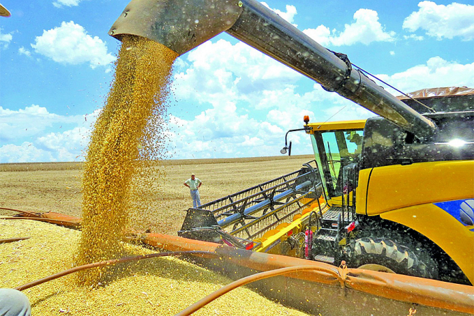 Conab acompanha o impacto da seca e da geada na safra de grãos nas principais regiões de produção - News Rondônia
