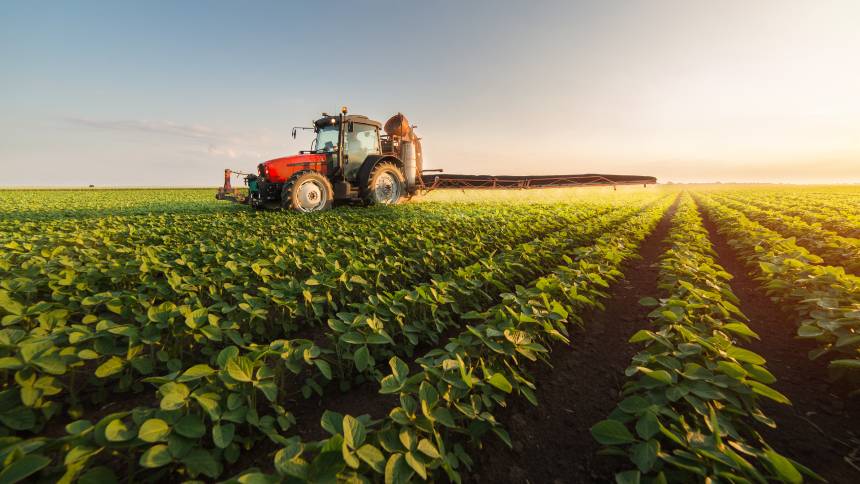 Novos líderes do agro terão papel estratégico no crescimento do setor no Brasil - News Rondônia