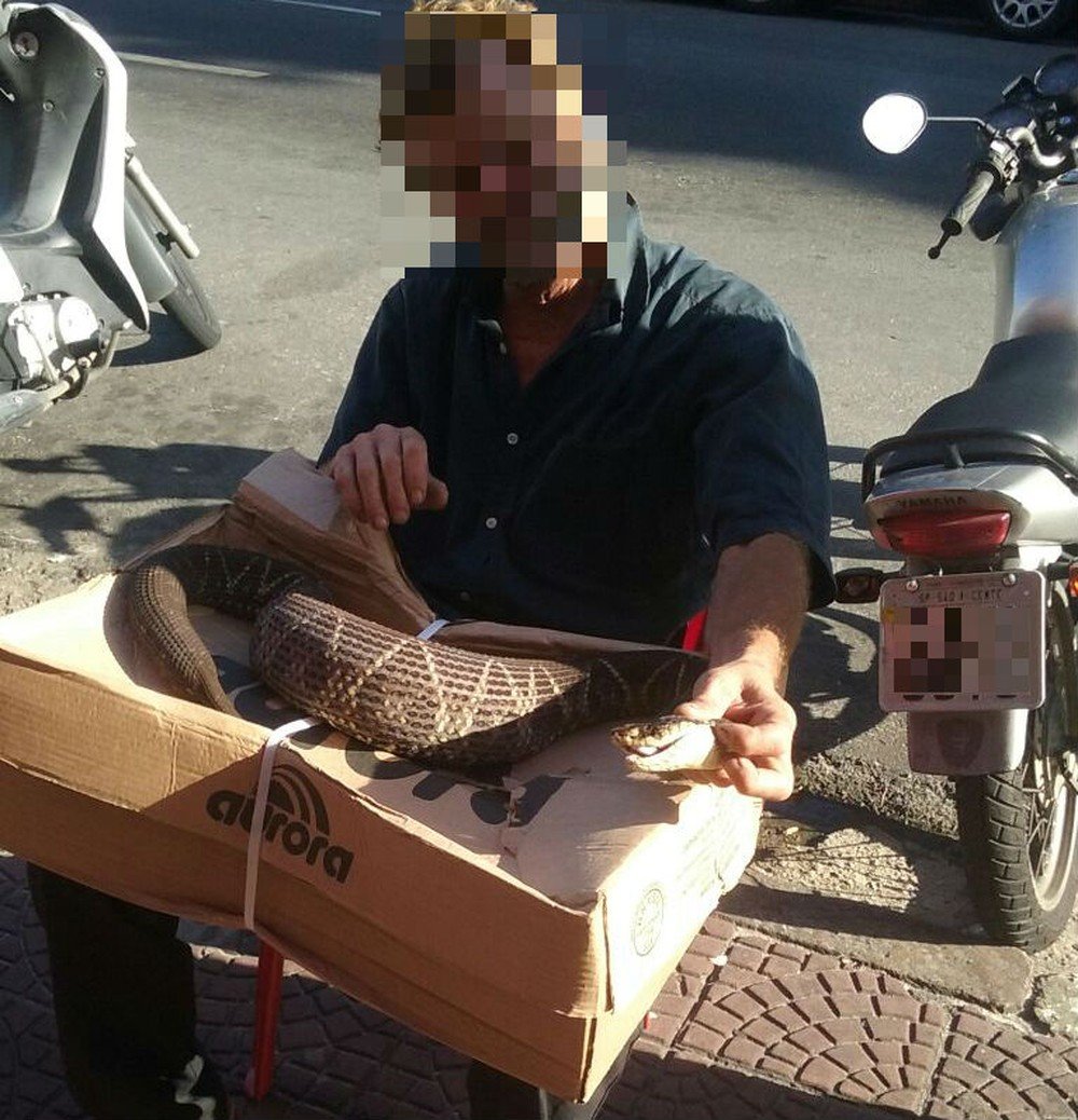 JARARACUÇU: HOMEM BRINCA COM COBRA E LEVA A PIOR - VEJA VÍDEO - News Rondônia