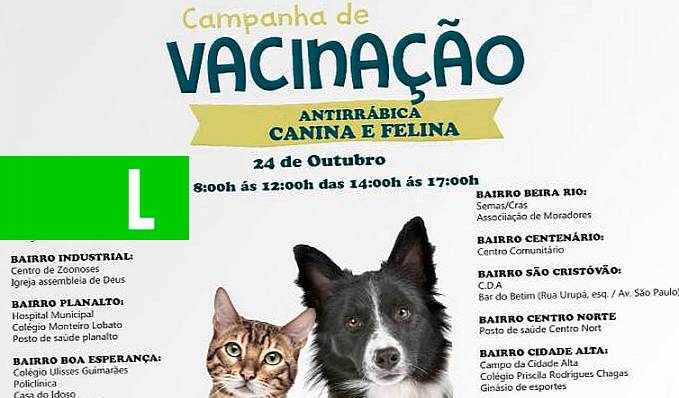 Rolim de Moura: Dia D da vacinação antirrábica será no próximo sábado - News Rondônia