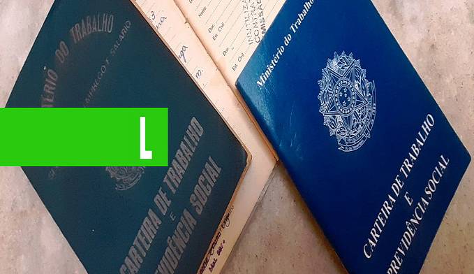 EMPREGO - Empresas contratam 100% dos candidatos de Ji-Paraná encaminhados pelo Sine - News Rondônia