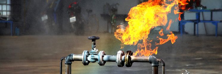 Trabalhadores de agroindústrias correm risco de vida com vazamentos de gases - News Rondônia