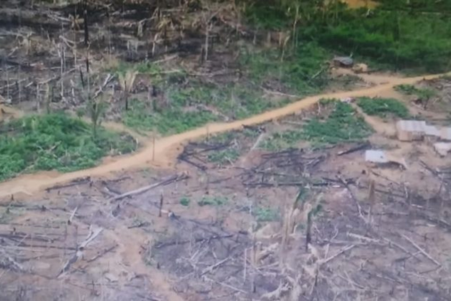 PAZ NO CAMPO - Governo de Rondônia realiza operação de reintegração de posse e cessa crime ambiental em larga escala - News Rondônia
