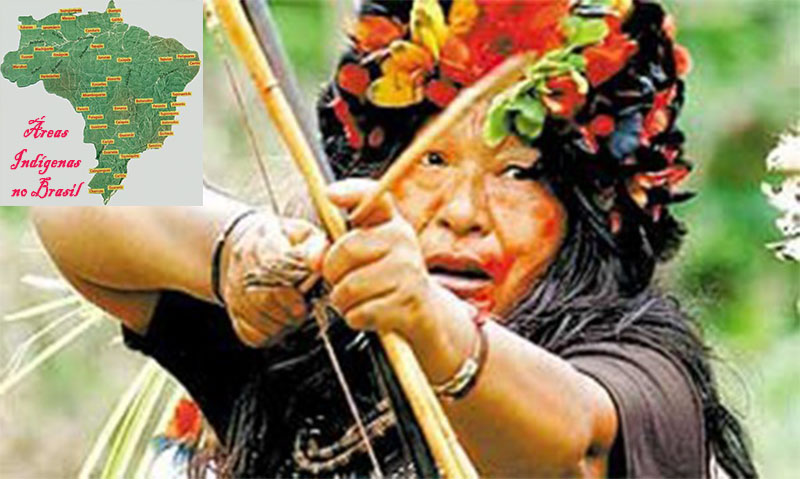 BOLSONARO LIVRA ÍNDIOS DA EXPLORAÇÃO E MANIPULAÇÃO DAS ONGS INTERNACIONAIS E DE TODOS OS SEUS PARCEIROS - News Rondônia