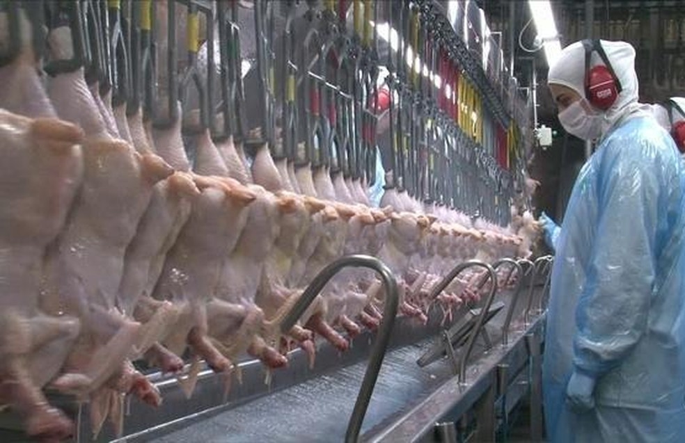 Exportações de carne de frango têm alta na receita de 4,8% em 2021 - News Rondônia