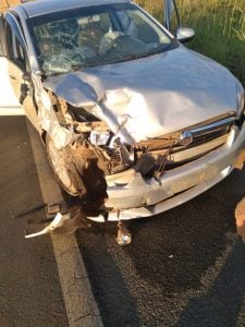 IMAGENS FORTES - Motociclista morre após cruzar rodovia em Rondônia - News Rondônia