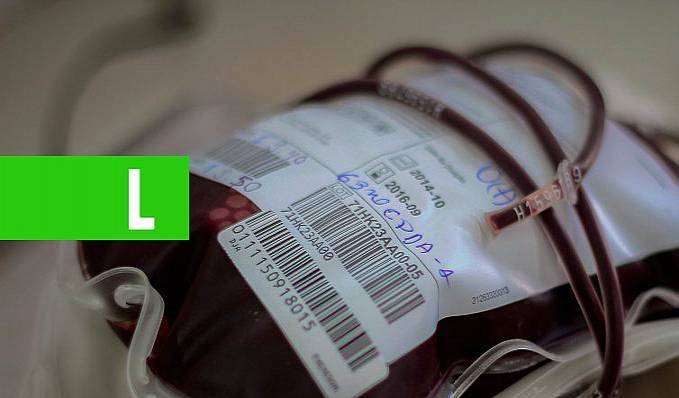 Hemocentro de Ji-Paraná registra queda de 50%; doadores são convocados para abastecer banco de sangue - News Rondônia