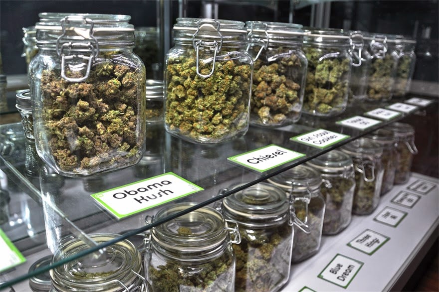 TRÁFICO DE DROGAS NO URUGUAI DESPENCA APÓS LEGALIZAÇÃO DA MACONHA - News Rondônia
