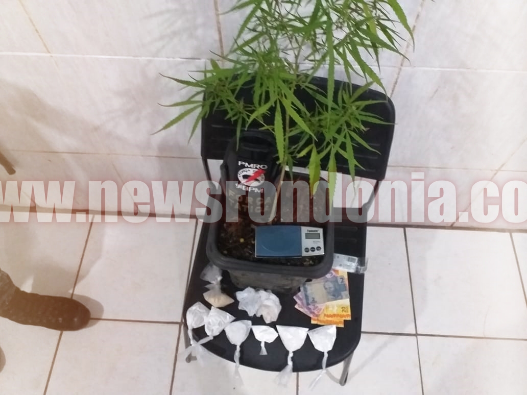 FORÇA TÁTICA E CÃES DO CANIL DO BBCHOQUE LOCALIZAM DROGAS E PRENDE TRÊS SUSPEITOS COM PÉ DE MACONHA - News Rondônia