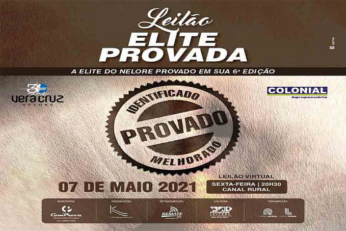 Nelore Veracruz e Colonial Agropecuária ofertam lotes Nelore na 6ª edição do Leilão Elite Provada - News Rondônia