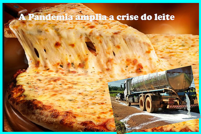 Crise do leite tem a ver com a pandemia e a diminuição do consumo de mussarela nas pizzarias paulistas - News Rondônia