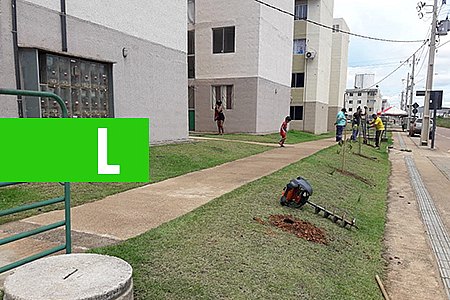 PREFEITURA REALIZA PLANTIO DE ÁRVORES NO CONJUNTO HABITACIONAL MORAR MELHOR - News Rondônia