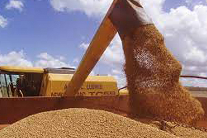 Conab prevê produção de grãos em 254 milhões de toneladas impactada por clima adverso - News Rondônia